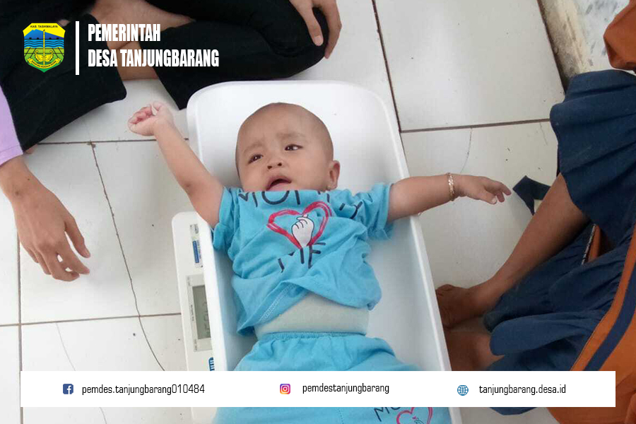 Kegiatan Posyandu Kamboja: Penimbangan Balita dan Pemeriksaan Ibu Hamil
