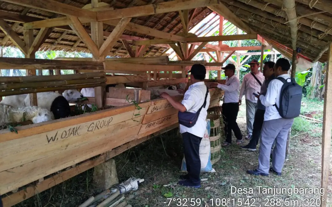 Memperkuat Ketahanan Pangan Hewani : Pemantauan Proyek Dana Desa di Desa Tanjungbarang