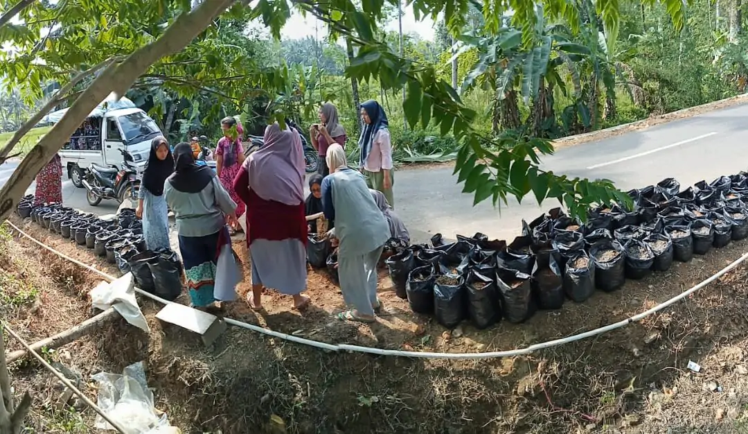 Menuju Kampung KB Mandiri: Warung Hidup di Polybag, Solusi Pangan dan Ekonomi Warga