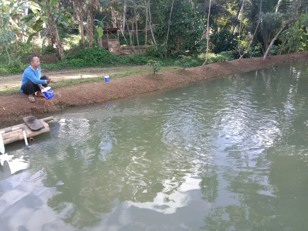 7a120c80-0f29-4317-a991-5f337cd37192