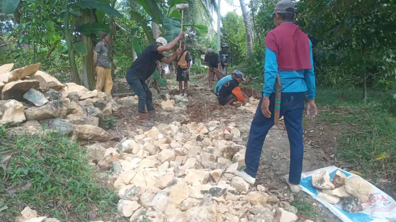 b6bed6b5-1206-4580-9dd0-2c68d0ee70b2