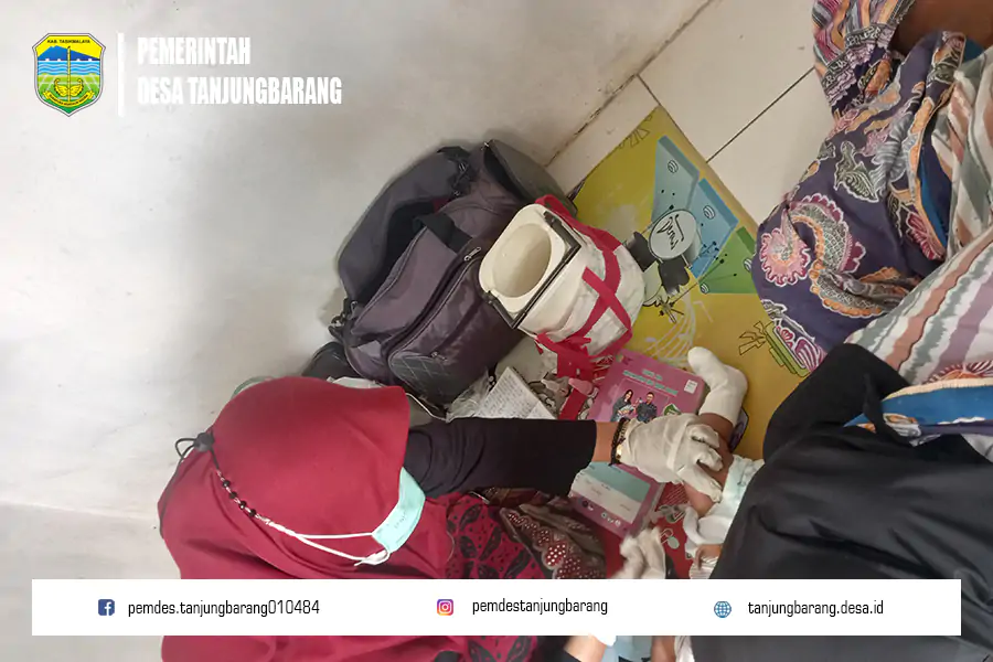 Kegiatan Kader Posyandu Cempaka: Penimbangan Balita dan Pemeriksaan Ibu Hamil