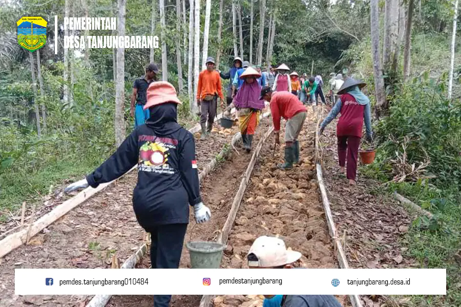 Kerja Bakti Warga Kampung Mekarjaya: Membangun Jalan Usaha Tani