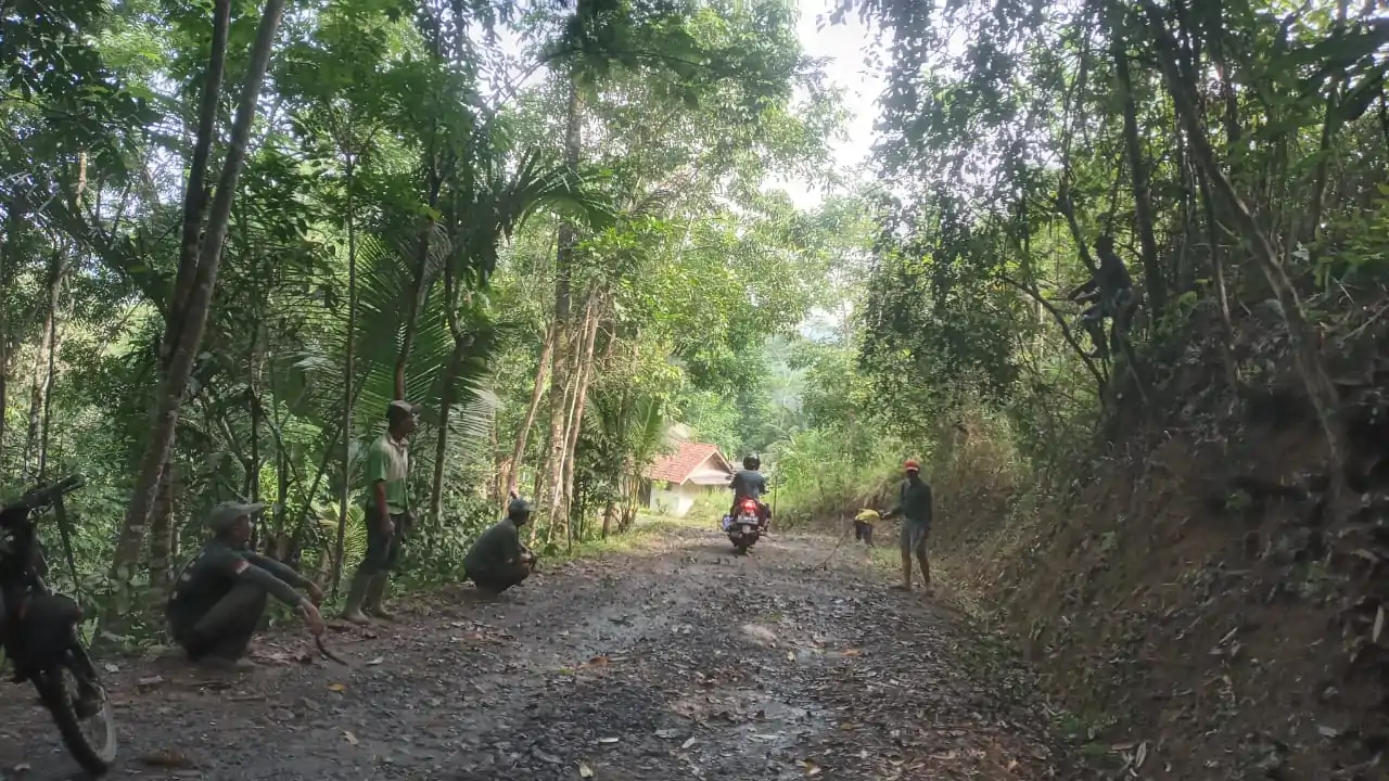 ae067986-712b-460d-82ea-e61be36ec675